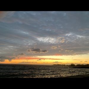 Meet your Posher, Lynne